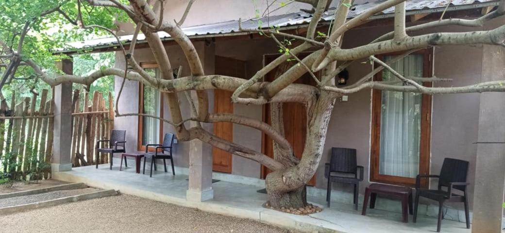 Hantara Udawalawa Udawalawe Exteriör bild