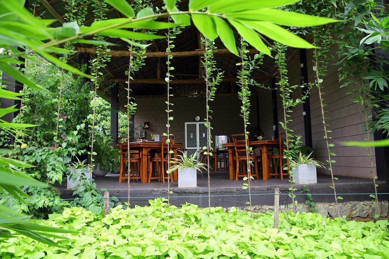 Hantara Udawalawa Udawalawe Exteriör bild
