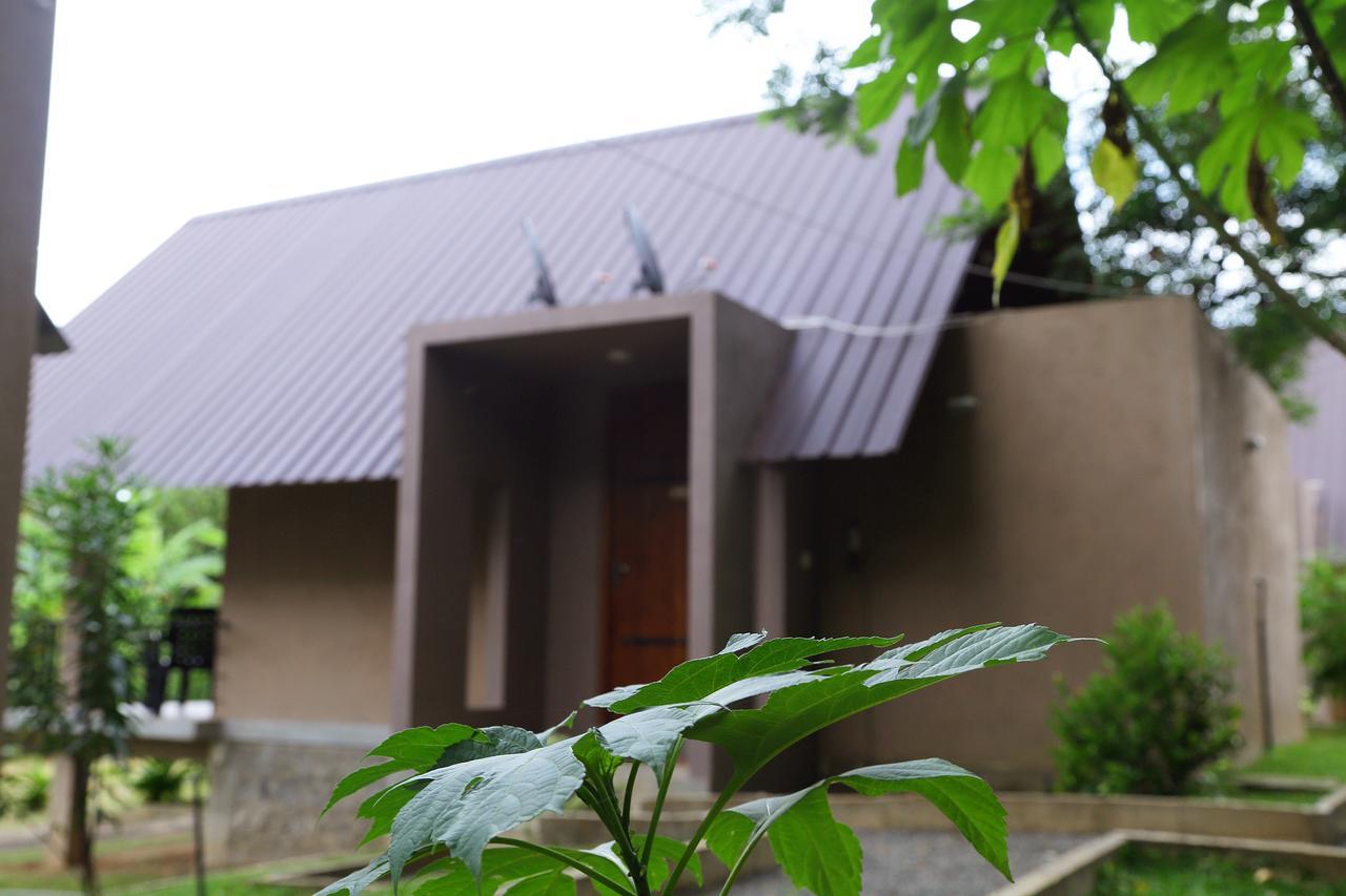 Hantara Udawalawa Udawalawe Exteriör bild
