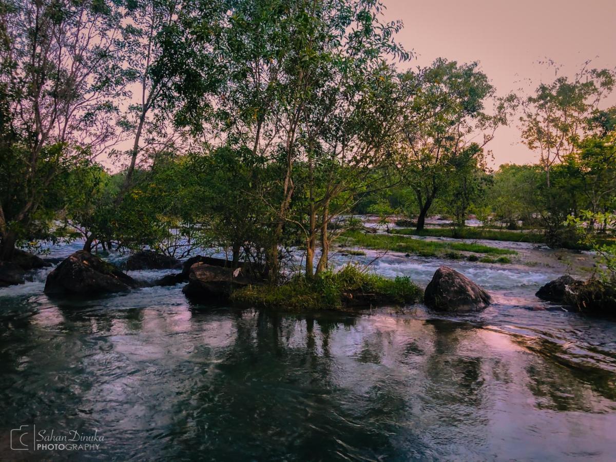 Hantara Udawalawa Udawalawe Exteriör bild