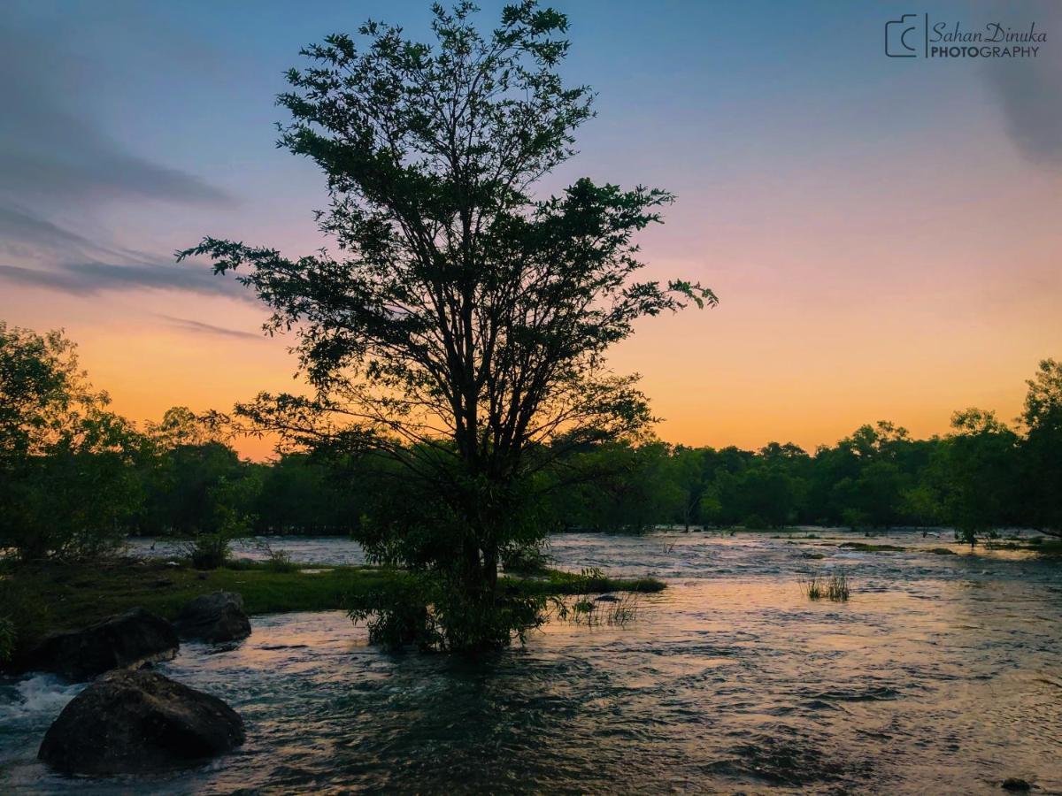 Hantara Udawalawa Udawalawe Exteriör bild